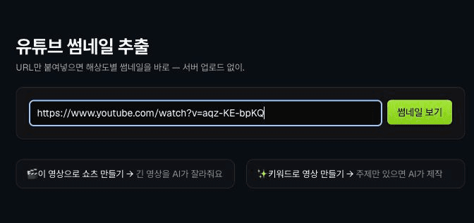 유튜브 썸네일 추출 도구에 공개 테스트 영상 URL을 붙여넣은 화면